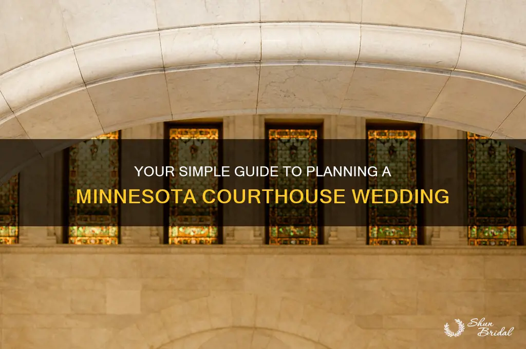 how to do a courthouse wedding in minnesota