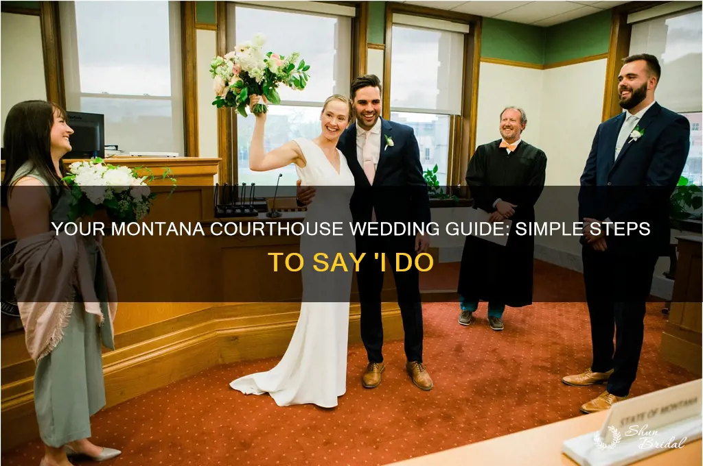 how to do a courthouse wedding in montana