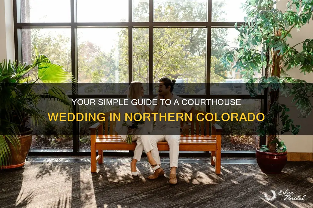 how to do a courthouse wedding in northern colorado
