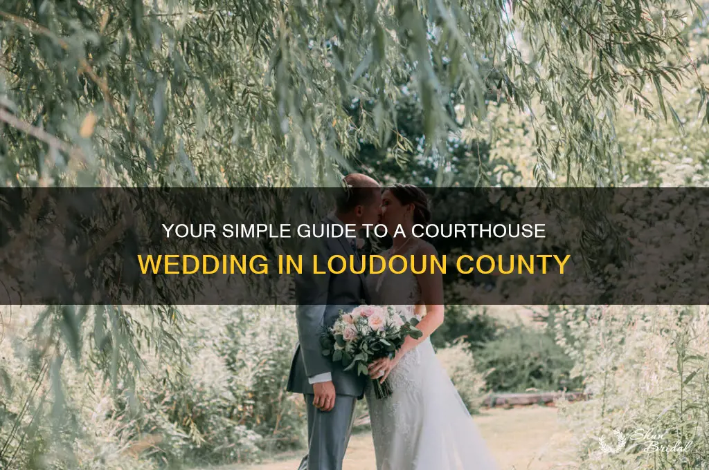 how to do a courthouse wedding loudoun county