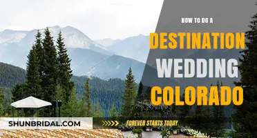 Your Dream Destination Wedding in Colorado: A Step-by-Step Guide