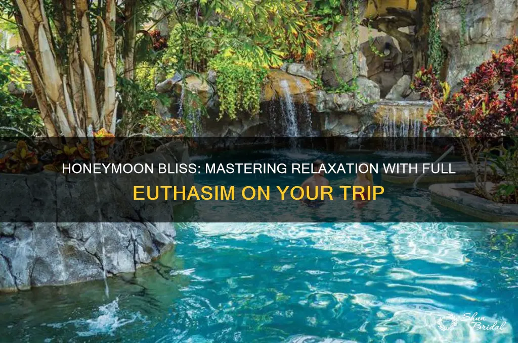 how to do a honeymoon with full euthasim