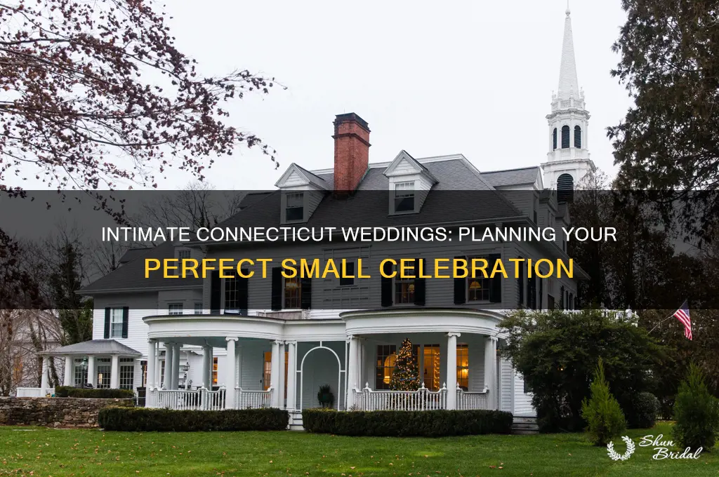 how to do a small wedding in Connecticut