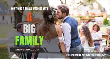 Big Family, Small Wedding: Making it Work