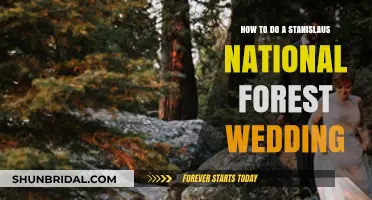 Stanislaus National Forest Wedding Guide: Planning Your Dream Outdoor Celebration