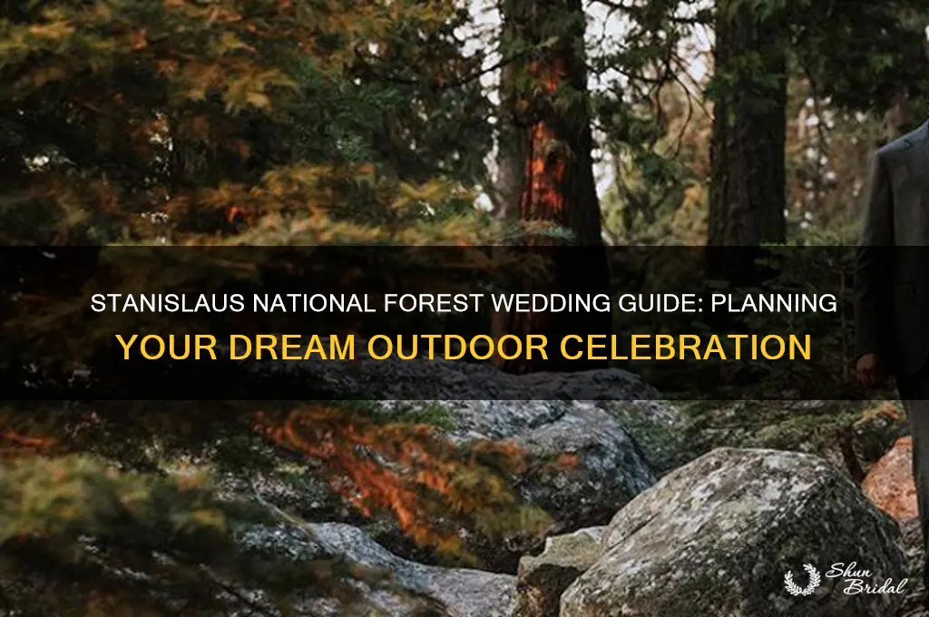 how to do a stanislaus national forest wedding