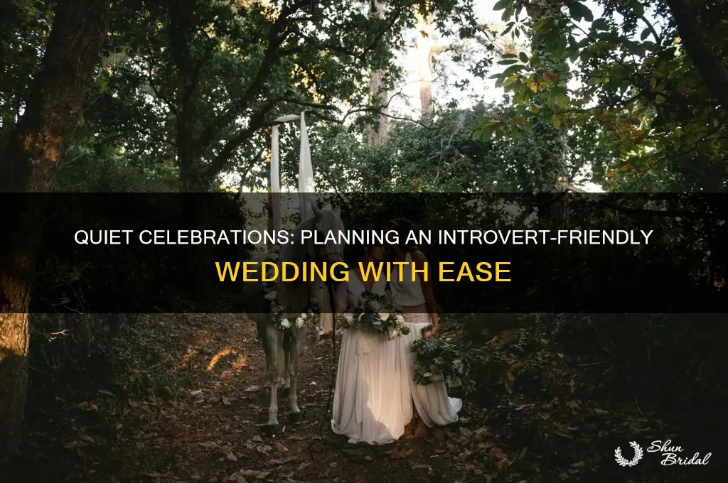how to do a wedding as an introvert