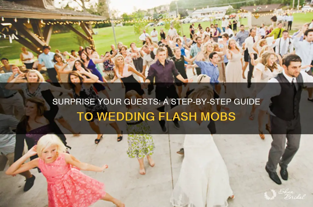 how to do a wedding flash mob