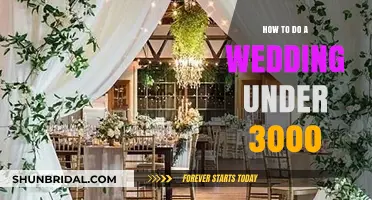 Budget-Friendly Wedding Bliss: Planning Your Dream Day Under $3,000