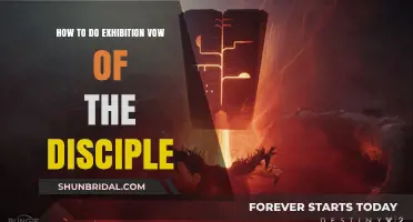 Mastering the Vow of the Disciple Raid: A Comprehensive Exhibition Guide