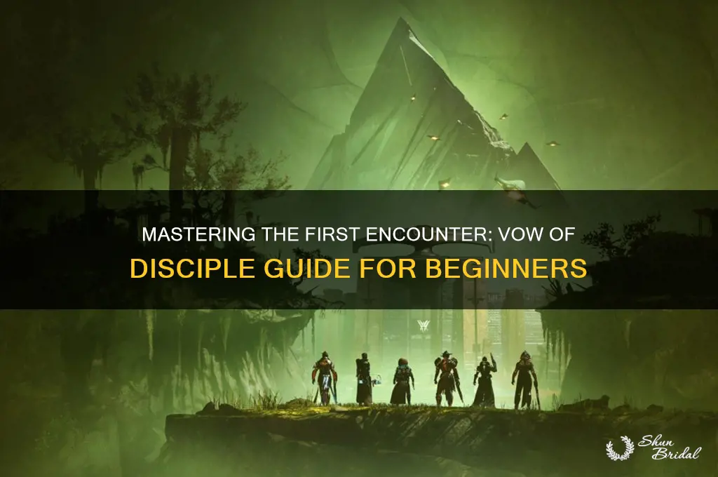 how to do first encounter vow of disciple