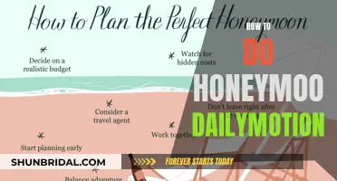 Honeymoon Tips: Making Memorable Moments on Dailymotion