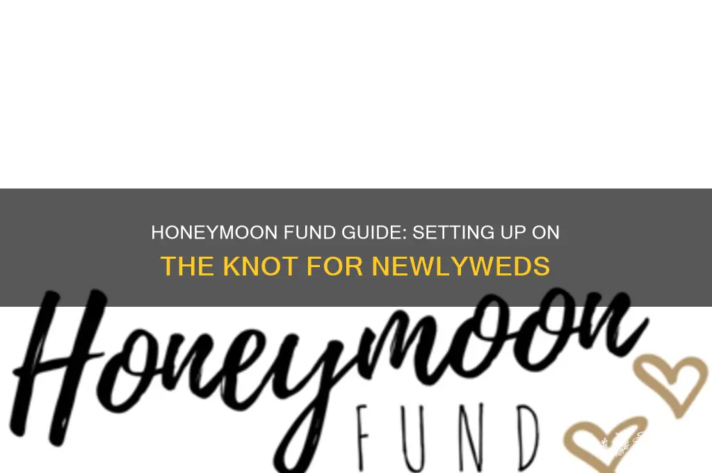 how to do honeymoon fund on the knot