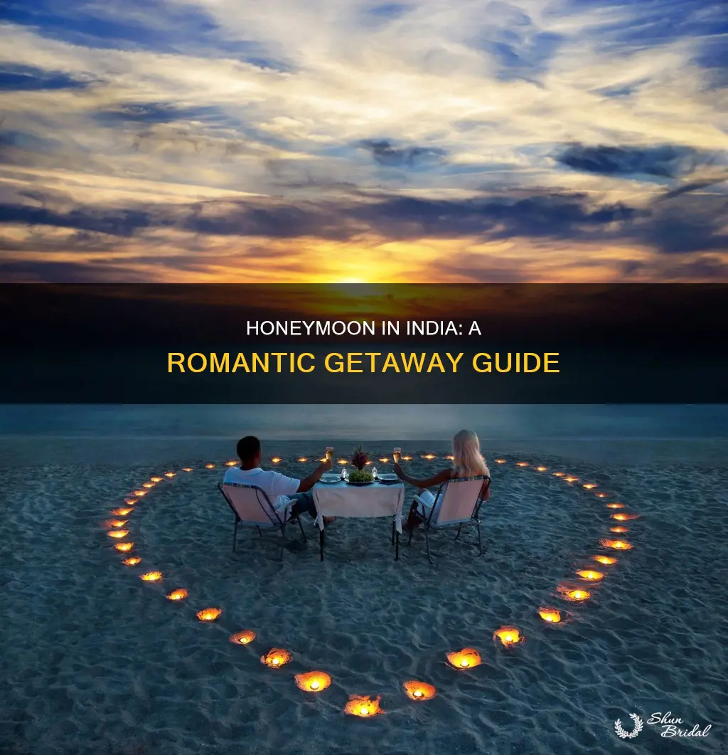 how to do honeymoon in india