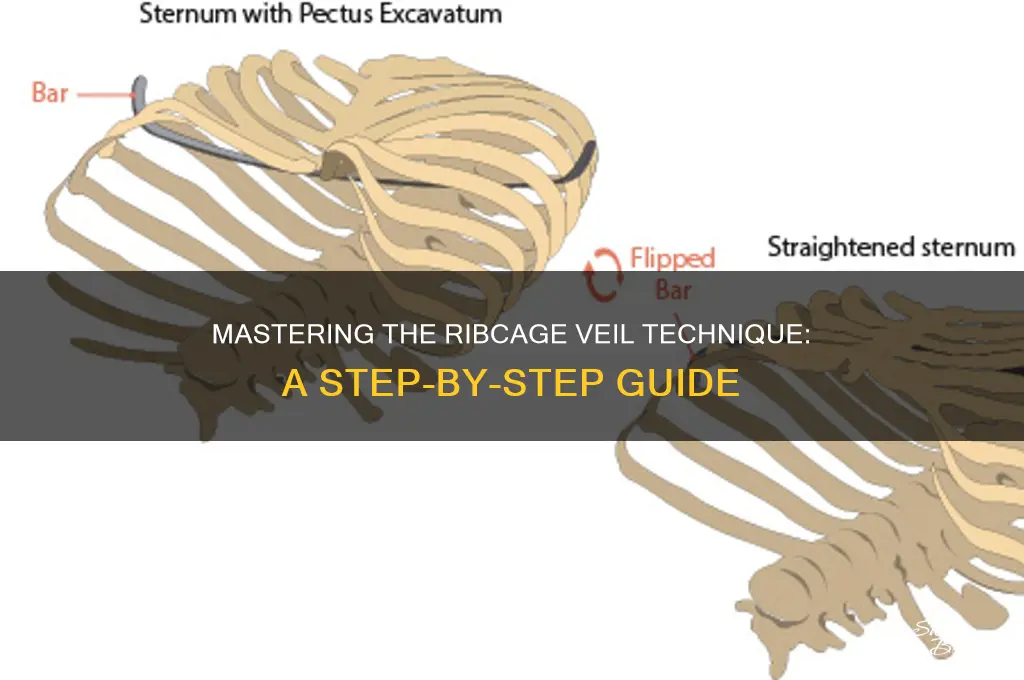 how to do ribven veil