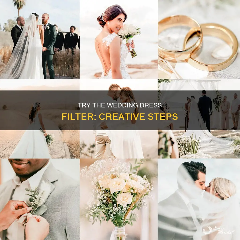 how to do the wedding dress filter