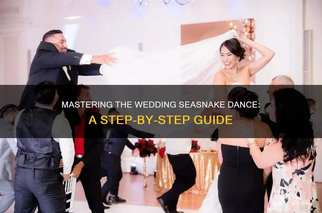 how to do the wedding seasnake