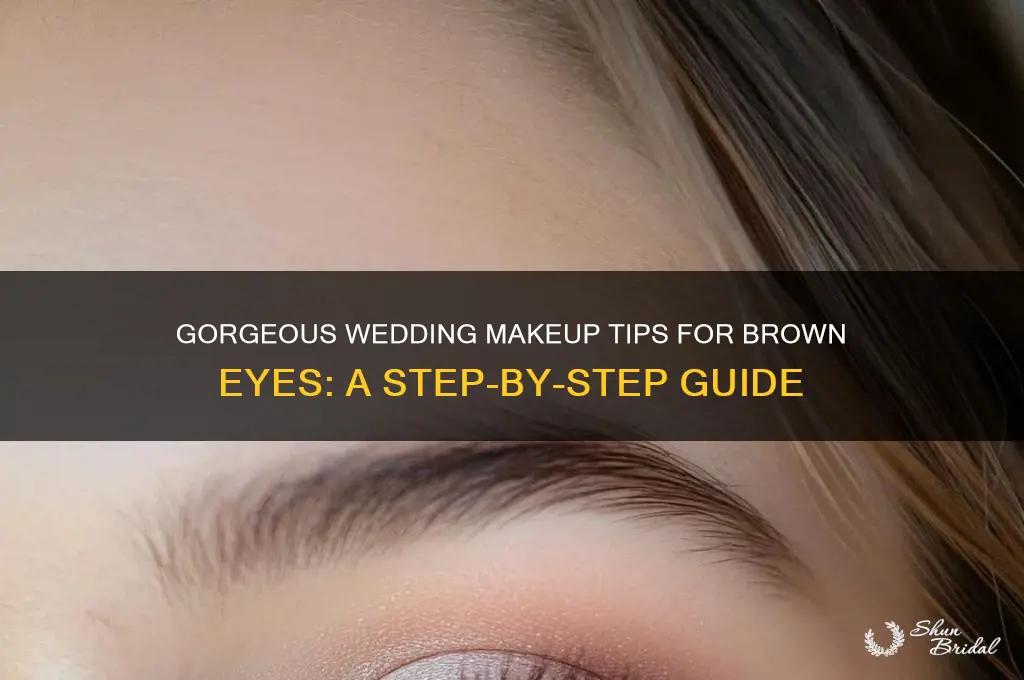 how to do wedding makeup brown eyes