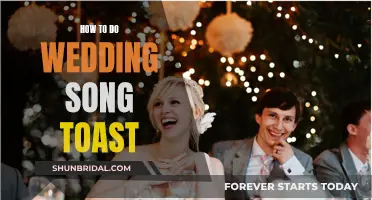 Wedding Song Toast: Guide to Celebrate with Music