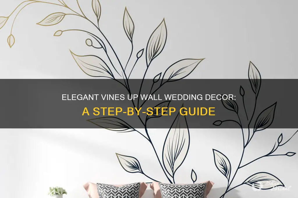 how to drap vines up wall wedding