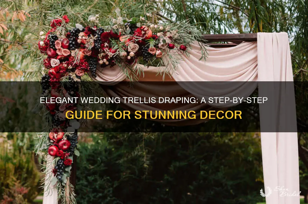 how to drape a trellis for a wedding