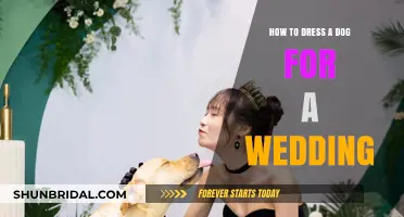 Guide to Dressing Your Dog as Wedding Guest