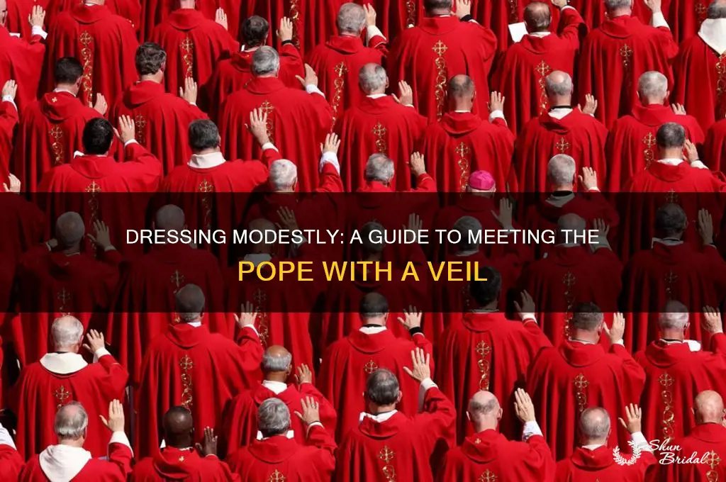 how to dress when meeting the pope veil