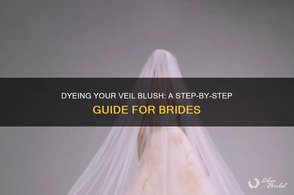 how to dye a veil blush