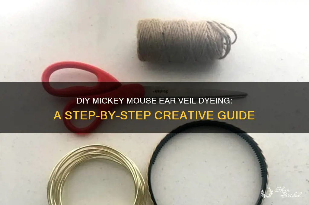 how to dye mickey mouse ear veil