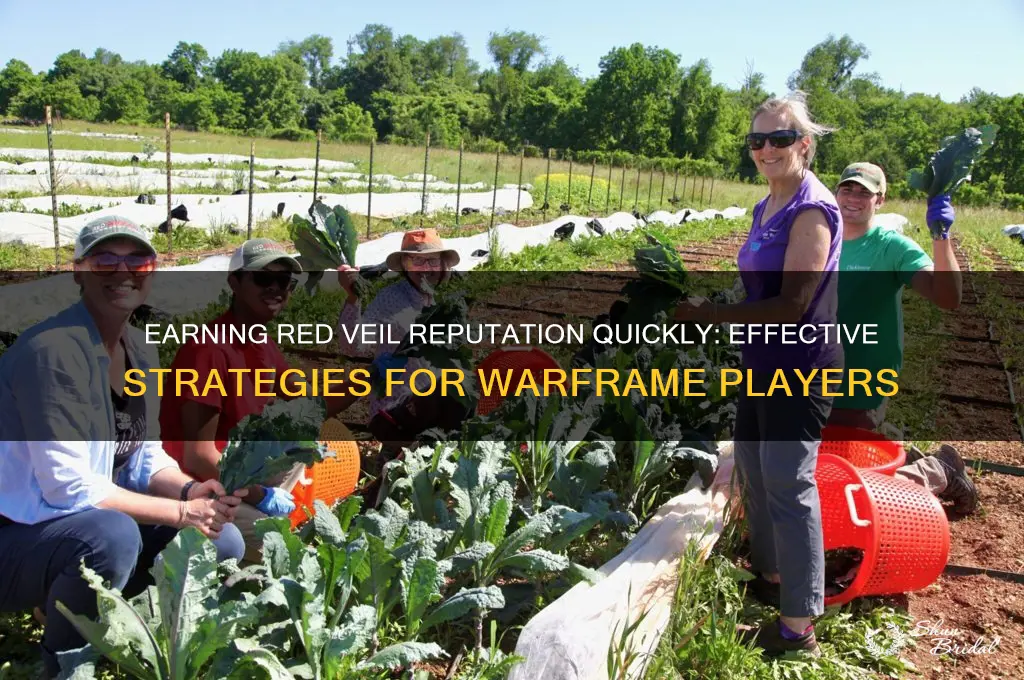 how to earn red veil reputation fast