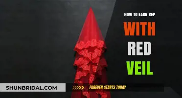 Mastering Red Veil Reputation: Proven Strategies for Warframe Players
