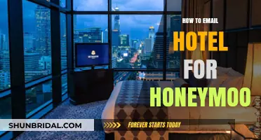 Crafting the Perfect Honeymoon Hotel Email: Tips for a Romantic Stay