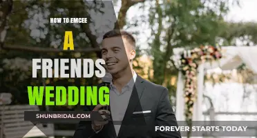 Mastering the Mic: Your Guide to Emceeing a Friend's Wedding