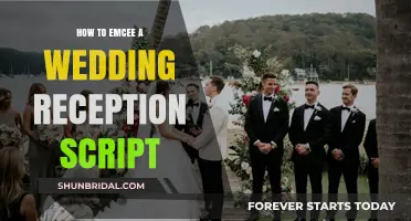 Emceeing a Wedding: Script and Guide for a Perfect Reception