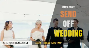 Mastering the Art of Emceeing a Heartfelt Wedding Send-Off