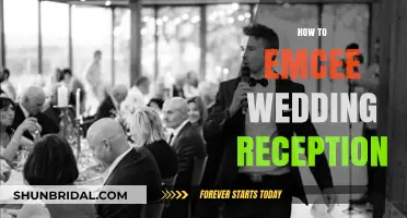 Emceeing a Wedding Reception: A Step-by-Step Guide