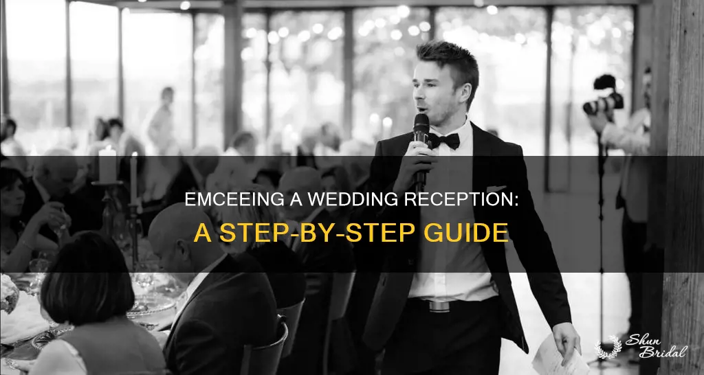 how to emcee wedding reception