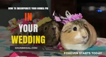 Incorporate Your Guinea Pig into Your Wedding: Creative Ideas & Tips