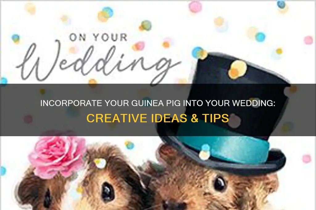 how to encorporate your guinea pig in your wedding