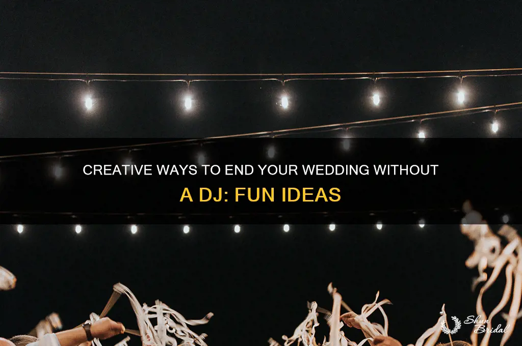 how to end a wedding without a dj