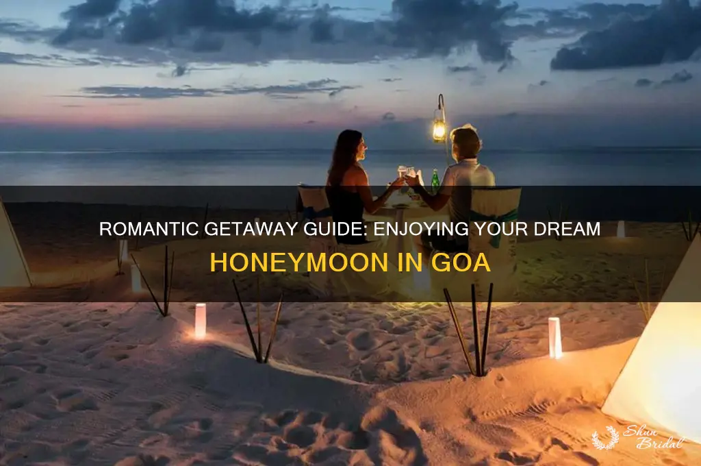 how to enjoy honeymoon in goa