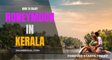 Honeymoon Bliss: Exploring Kerala's Romantic Getaways