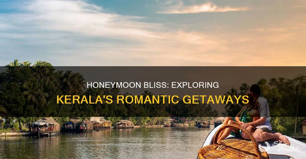 how to enjoy honeymoon in kerala