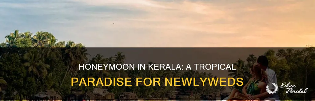how to enjoy honeymoon in kerala