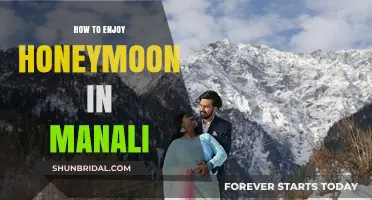 Romantic Getaway Guide: Enjoying Your Dream Honeymoon in Manali
