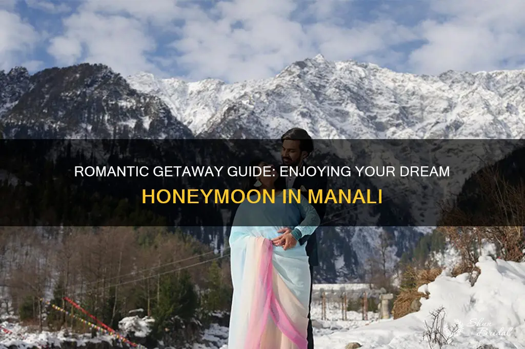 how to enjoy honeymoon in manali