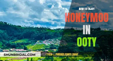 Exploring Ooty's Romantic Hideouts on Your Honeymoon