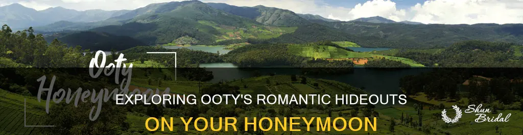 how to enjoy honeymoon in ooty