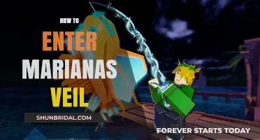 Exploring the Depths: A Guide to Entering Mariana's Veil