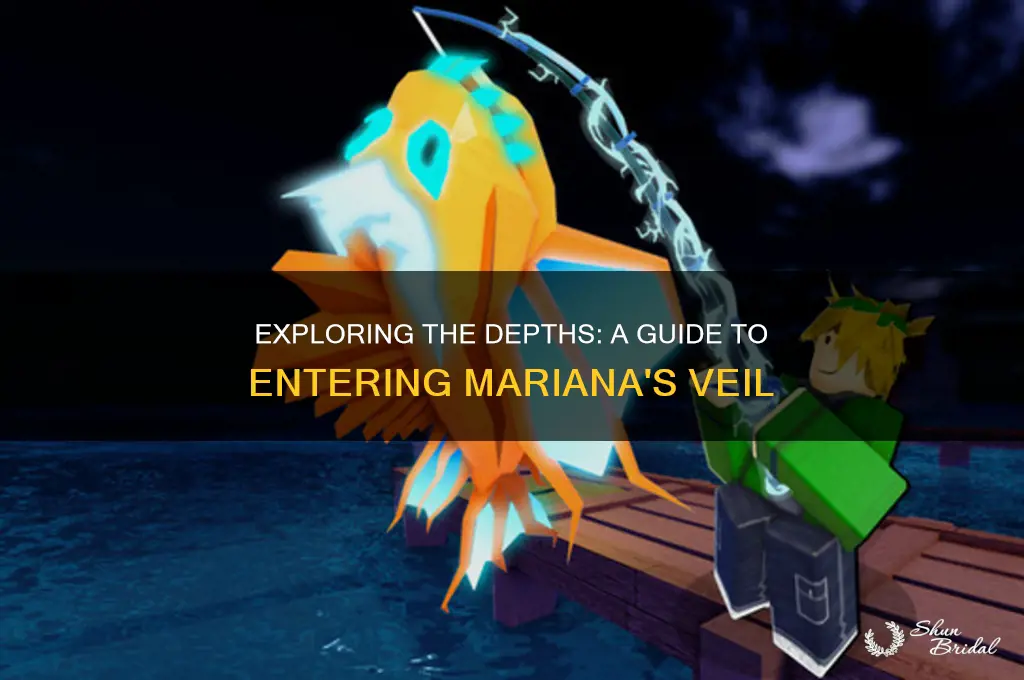 how to enter marianas veil